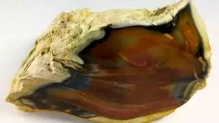 что у нас под ногами