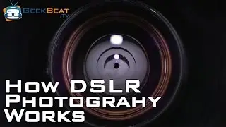 How Your Digital or Film Camera Actually Works