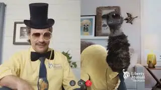 Liberty Mutual LiMu Emu And Doug Filters Commercial Reversed