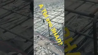12 июня 2023 г.