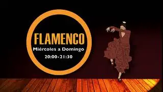 VINO MIO FLAMENCO SPOT