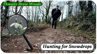 🔍 Hunting for Snowdrops 🎕 in Thwaite Brow Woods (Bolton Le Sands) Altering My Mindset 🤯