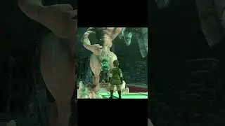 The most unique Korok seed puzzle in 