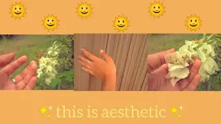 Aesthetic video clips🥀