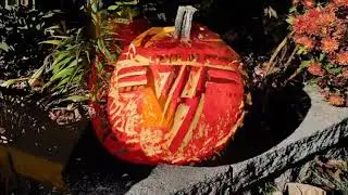 pumpkin surface carvings 2020