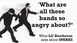 What does 'What are all these bands so angry about' say about SPARKS?