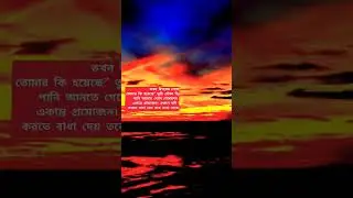 আল্লাহর বিধান পালনে অলসতাকারী ও অমান্যকারীর দৃষ্টান্ত ঐ লোকদের ন্যায় #shorts