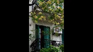 Toàn Nguyễn - Hãy về với anh