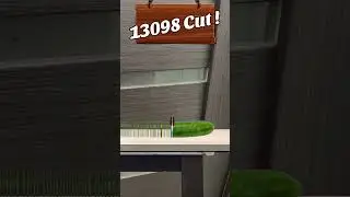 #funny
