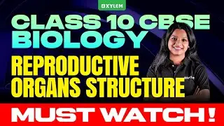 Class 10 CBSE Biology | Reproductive Organs Structure | Must Watch! | Xylem Class 10 CBSE