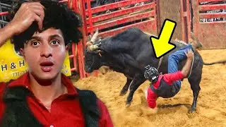 I Rode a Bull…
