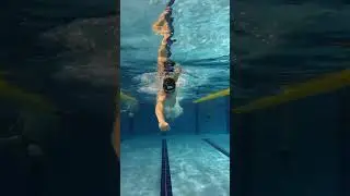 3 упражнения для кроля #плавание #swimming #swim #спорт #sports #pool #кроль