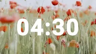 4 Minute 30 Second Timer with Relaxing Music and Alarm, Countdown Clock for Stress Relief