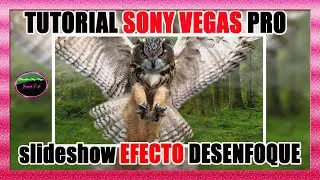 TUTORIAL Sony Vegas como hacer VIDEO SLIDESHOW efecto desenfoque💖 (Parte 1)