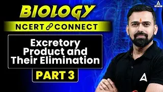 Excretory Products and Their Elimination Class 11| NEET Biology NCERT Connect Series | L-3