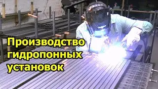 Производство гидропонных установок для выращивания зелени и салатов