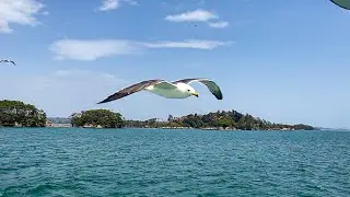Matsushima, Three Most Scenic Spot of Japan