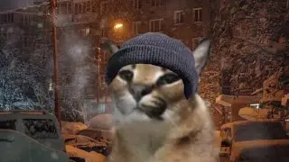 FLOPPA IS DOOMER