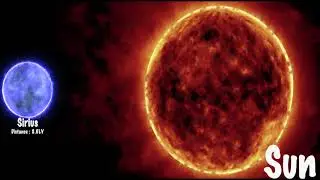 The Brightest Stars In the Universe