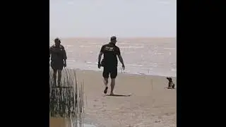 Liberan lobito marino en Magdalena
