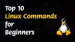 Top 10 Linux Commands for Absolute Beginners
