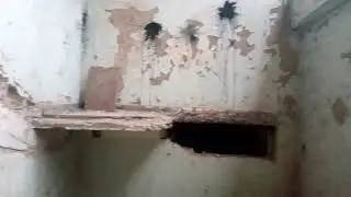 завод 