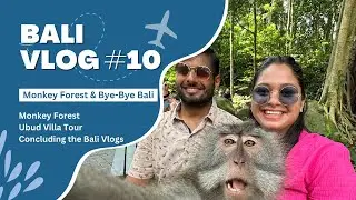 Sacred Encounters in Bali's Monkey Forest - Last Vlog in Bali Series