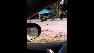 На пути к Неберджаевской