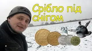 Перший сніг. Коп монет 2023