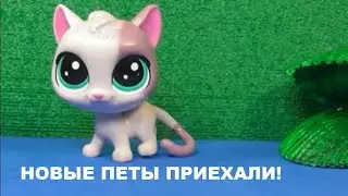 LPS Распаковка новых петов и набора