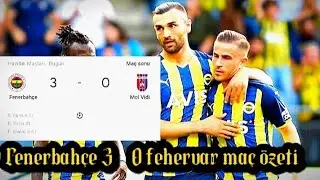 fenerbahçe - mol fehervar maç özeti