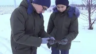 "Окультуривание школьного сада на основе дикорастущих яблонь"