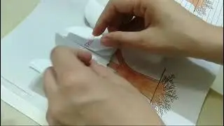 Parts of the tree | juniors preparation | convents preparation