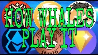 The Whale Game $ Crypto $ High Volatil $ Swing Trading $ See Trends $ TakeProfit $ SURVIVE-YADO said