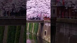UNREAL Places In Japan 