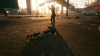 Cyberpunk 2077--the projectile launcher's tranquilizer rounds work on robots
