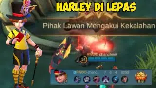 Harley di lepas pihak lawan mengakui kekalahan !! Harley top global 2021 