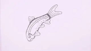 Morph Animation made with Micron Pens