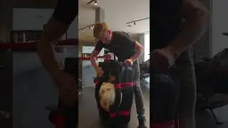 Just an average day at Ducati Newport Beach 🤣 #ducatinb #ducatidoc #droc #ducatifun #officefun