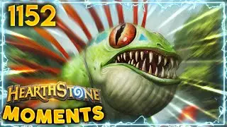MURLOCS Are Taking Over The ARENA | Hearthstone Daily Moments Ep.1152