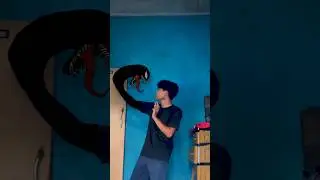 could it be a Venom 3 trailer? #shorts #venomthelastdance