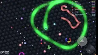 The longest snake in the world, slither. ao