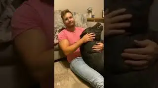 KUMPULAN DUBBING KUCING NGAKAK
