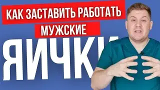 Как заставить яички работать // Мудрое старение