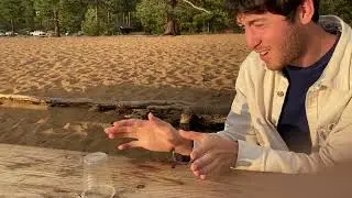 Magic Cup Trick