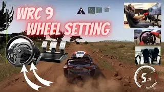 WRC 9 best wheel settings - Thrustmaster T300RS