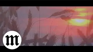 Markty - Вдома