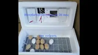 Как собрать инкубатор Несушка на 36 яиц