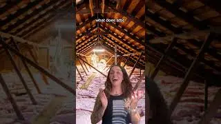 🔥 What does Attic Ventilation and Insulation Do in A Home? #homeinspectors