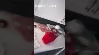 ОЛИВИЯ И ПОСЛЕДСТВИЯ СЪЁМОК ВИДЕО 🌚БРАЙН МАПС.